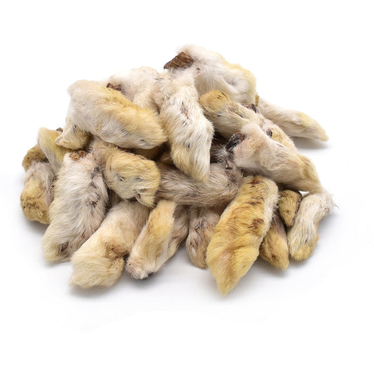 Dried Hairy Rabbits Feet