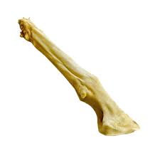 Goat Foot (single piece)